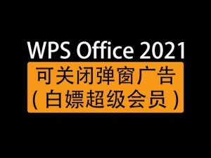 2025年WPS安全无毒官方正版下载方法