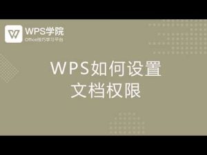 2025年如何获得WPS下载权限？