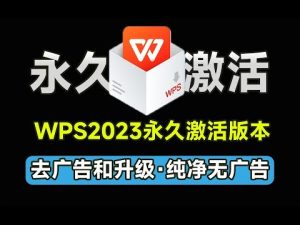 WPS如何下载所需的模块？